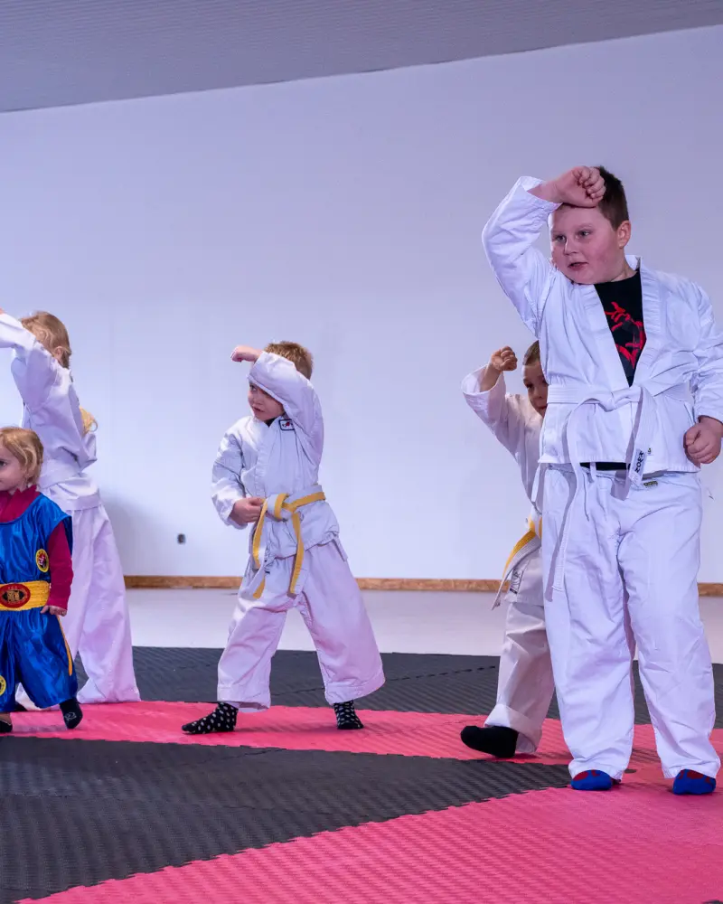 Karate für Kinder, Sound-Karate, Werte-Konzept